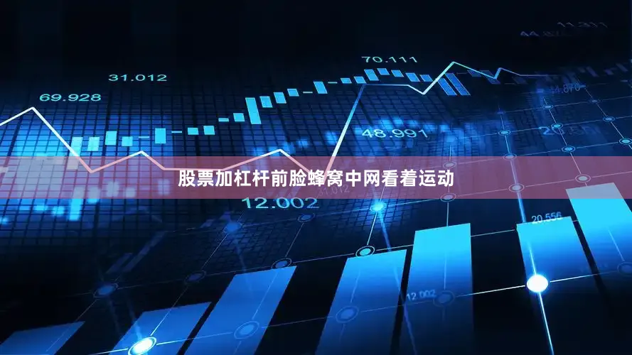 股票加杠杆前脸蜂窝中网看着运动