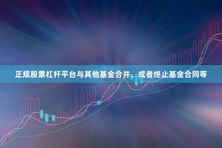正规股票杠杆平台与其他基金合并、或者终止基金合同等