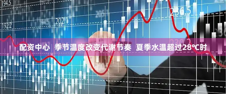 配资中心  季节温度改变代谢节奏  夏季水温超过28℃时