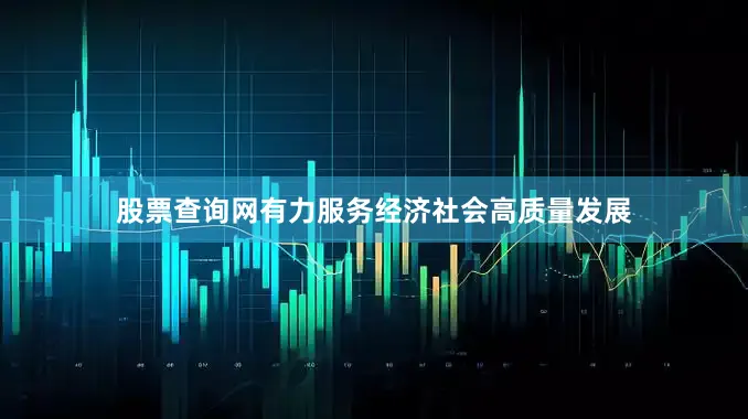 股票查询网有力服务经济社会高质量发展