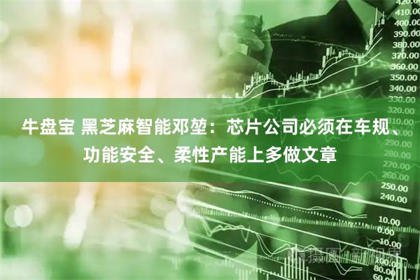 牛盘宝 黑芝麻智能邓堃:芯片公司必须在车规、功能安全、柔性产能上多做文章